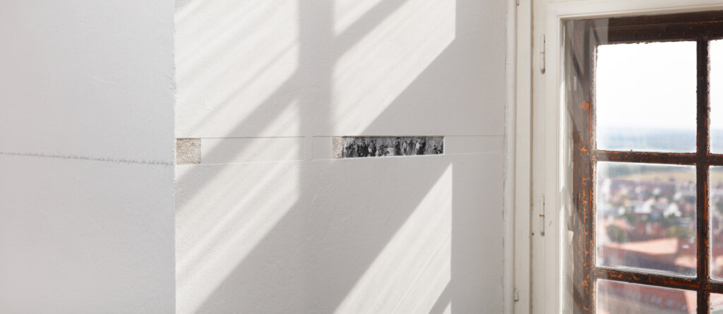 Michaela Černická, Documentary probes III, 2021