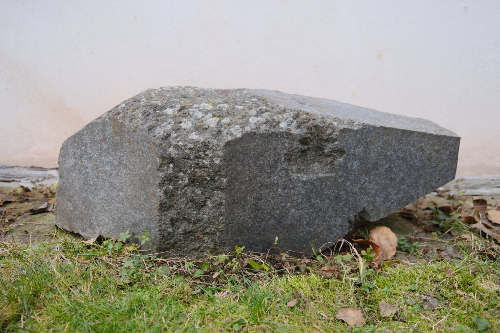 Martin Zetová, Relikty/ Holub