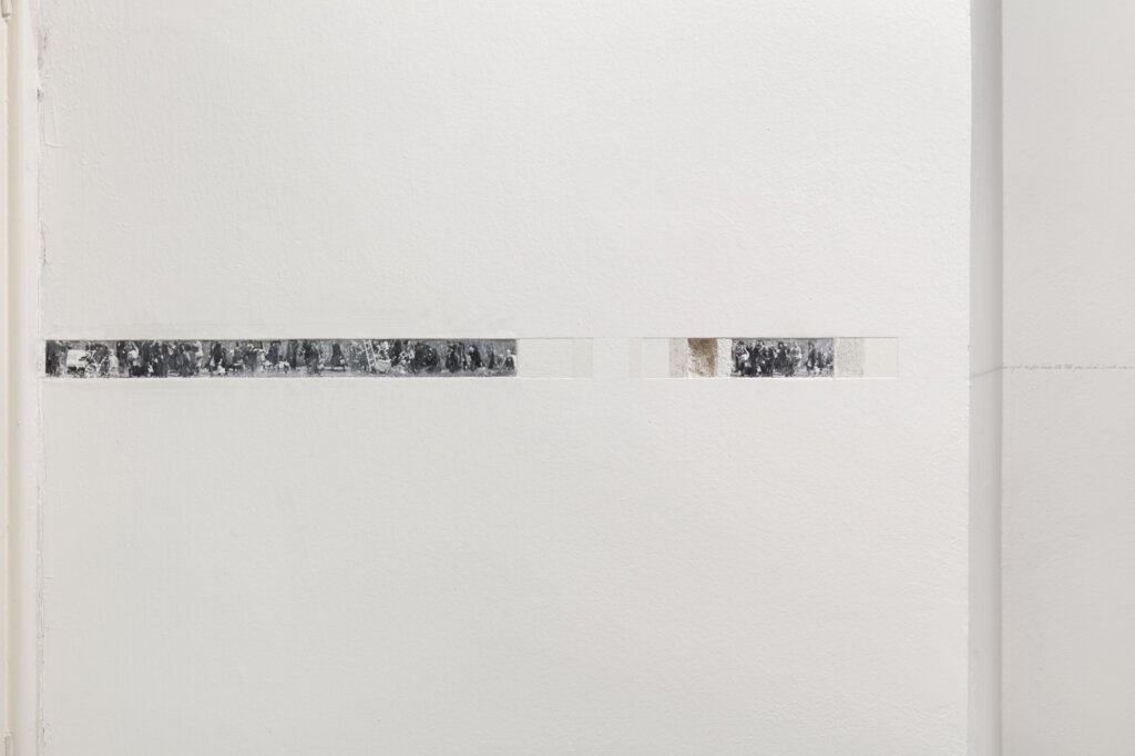 Michaela Černická, Documentary probes III, 2021