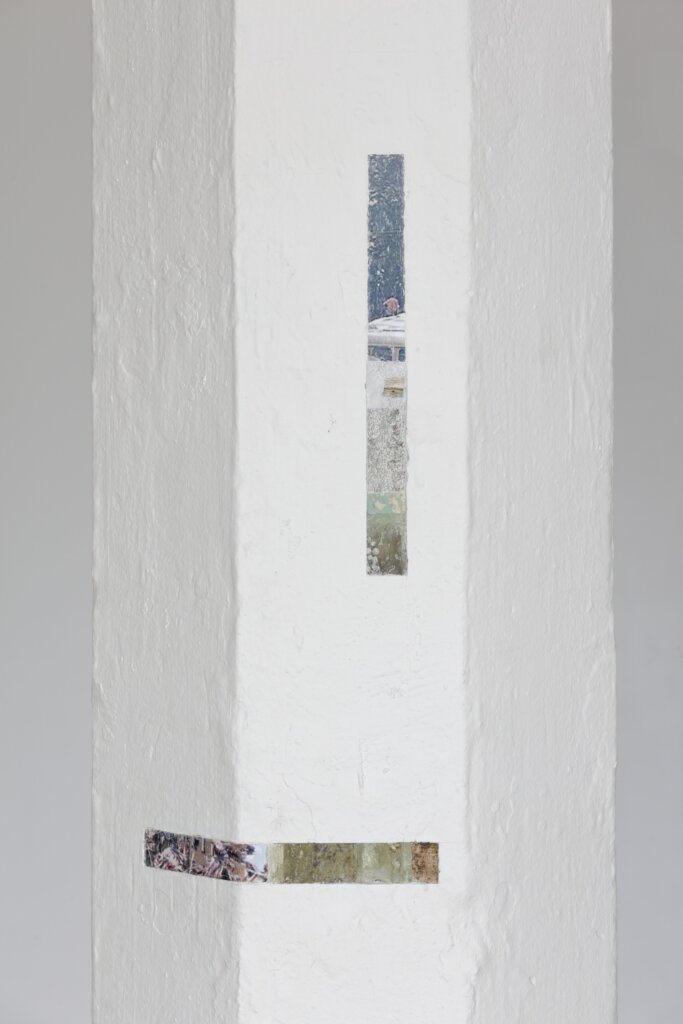 Michaela Černická, Documentary probes III, 2021