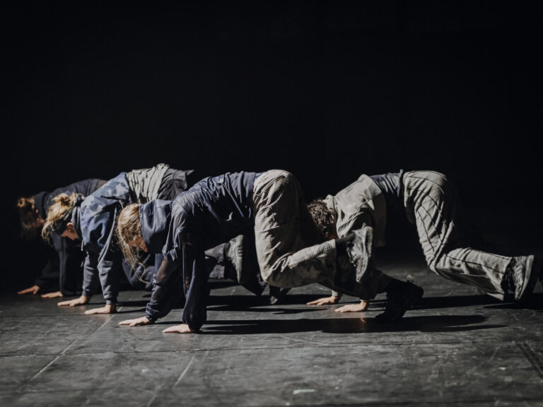 Hungry Sharks: Béton Brut