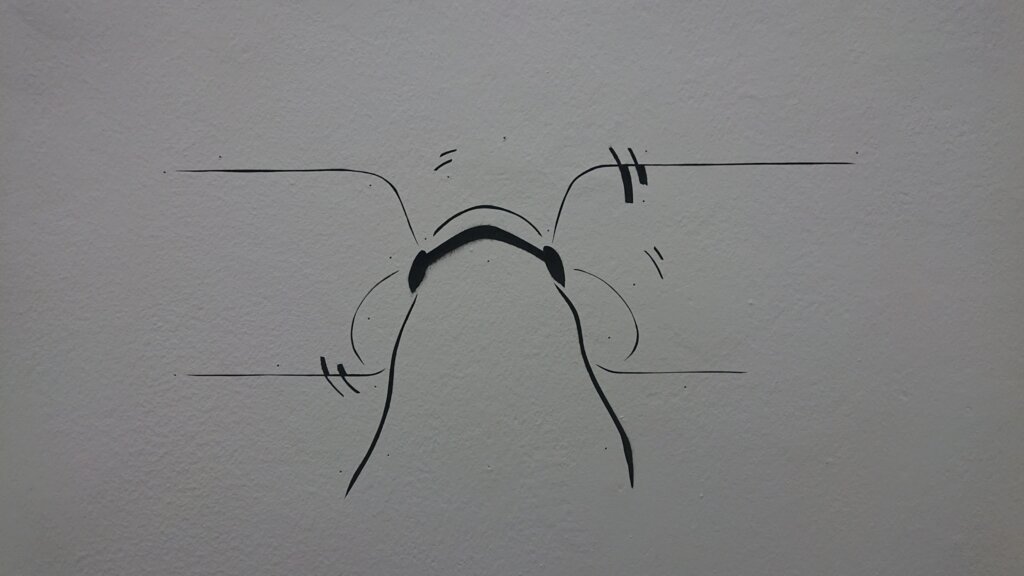 Tomáš Vaněk, Jen někdy si uvědomím, že vidím svůj nos, Particip č. 220