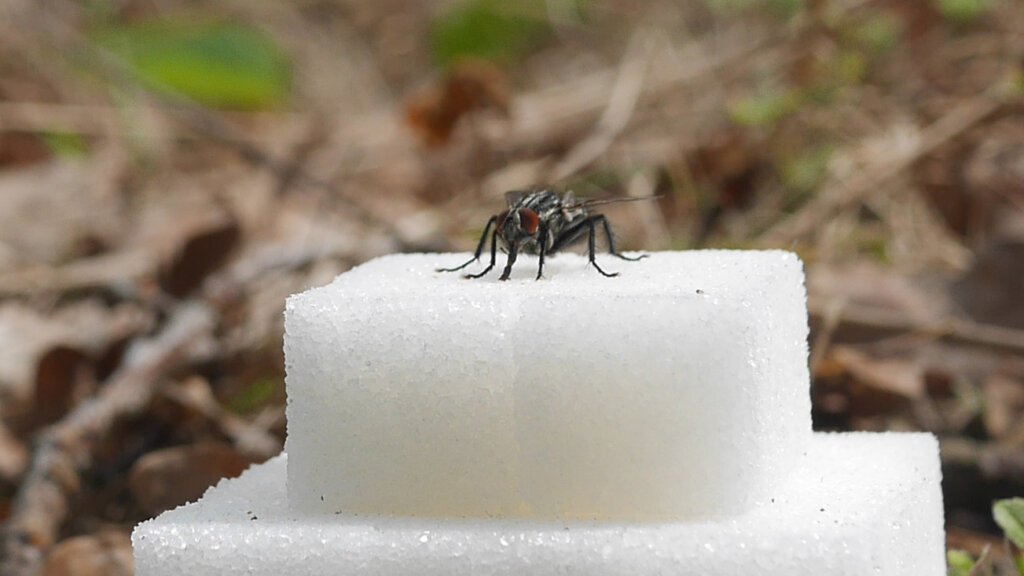 Matěj Smetana, Pyramid, 2024, video, 16:9, sound